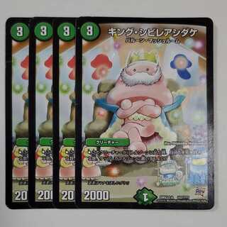 キング・シビレアシダケ