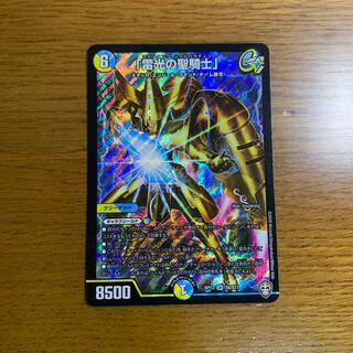 「雷光の聖騎士」