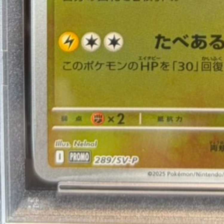 【PSA10】フクオカのピカチュウ PROMO 289/SV-P 1枚