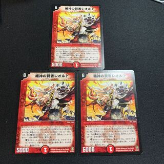 ¥800 楯神の賢者レオルド