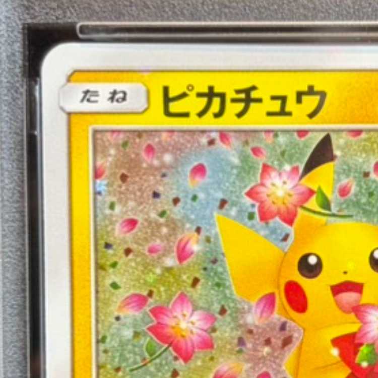 [PSA10] Pikachu PROMO 224/SM-P 1枚