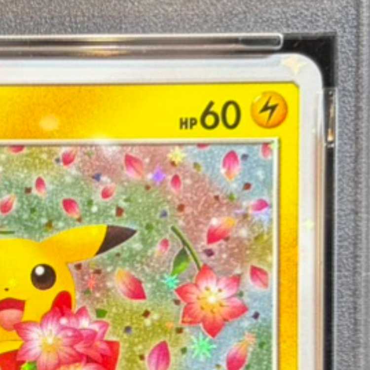 [PSA10] Pikachu PROMO 224/SM-P 1枚