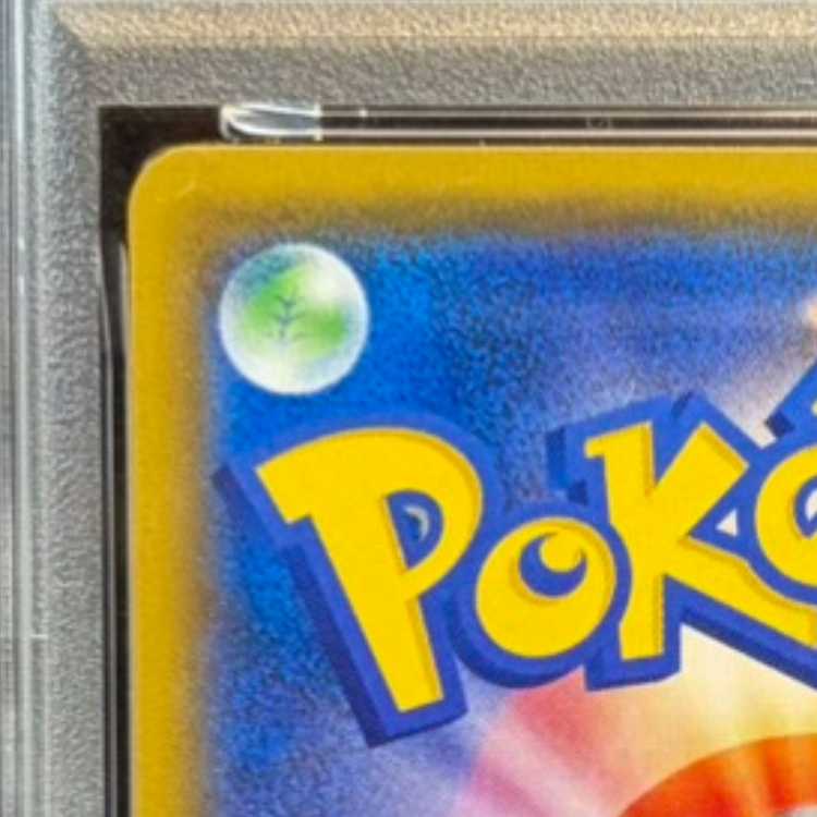 [PSA10] Pikachu PROMO 224/SM-P 1枚
