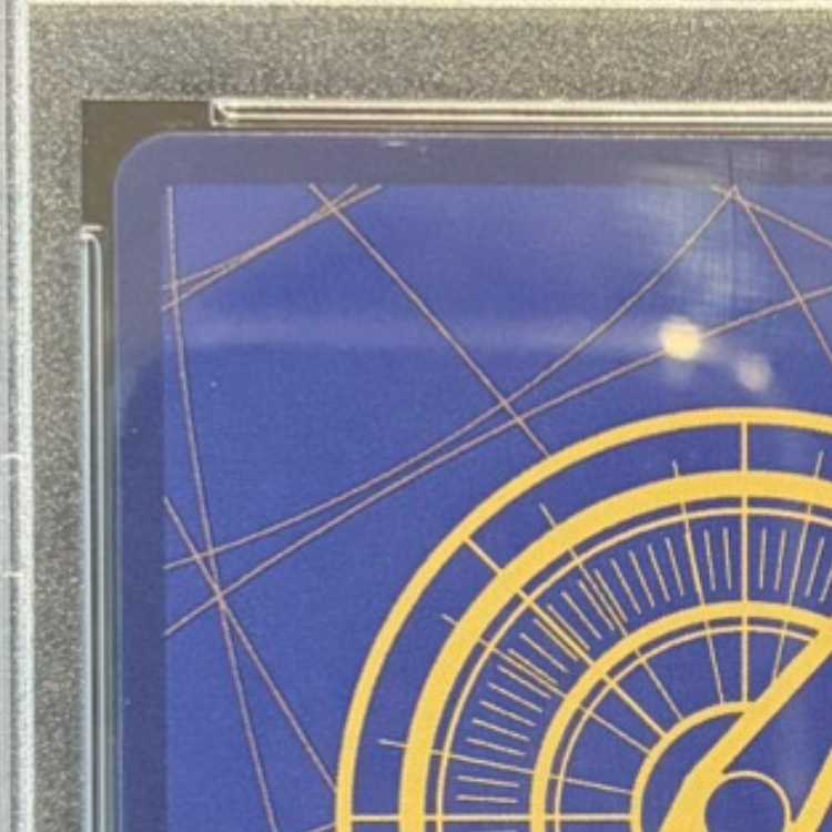 【PSA10】モンキー・D・ルフィ P P-001 1枚
