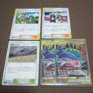 さかなかな様 専用 オルタージェネシス セット