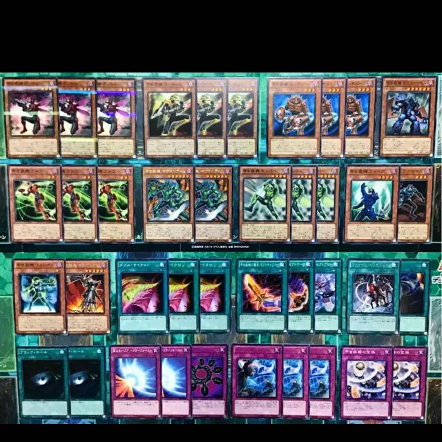 遊戯王 甲虫装機 デッキ 本格構築 インゼクター エクサスタッグ エクサビードル