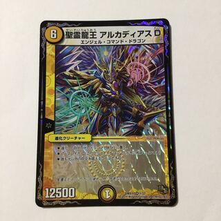 聖霊龍王 アルカディアスD