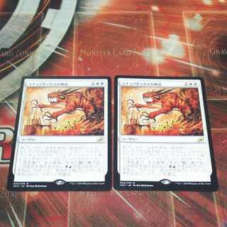 Over one hundred exhibits, Mythos of Snapdax, two, MTG 1枚