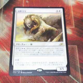 Over 100 exhibits, Cubwarden, MTG 1枚