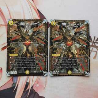 [怪盗様専用]煌龍 サッヴァーク シク3