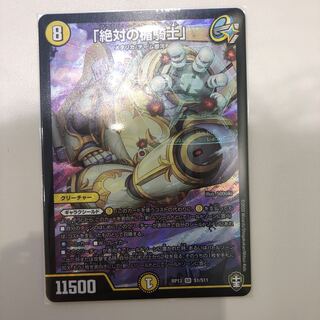 「絶対の楯騎士」