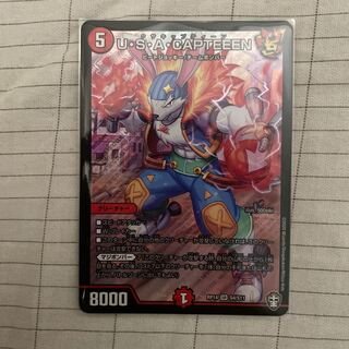 U・S・A・CAPTEEEN SR 1枚
