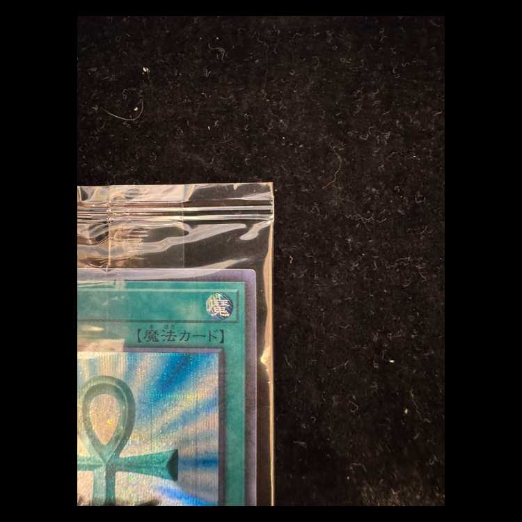 Monster Reborn Secret WCS2019 Unopened Promo 2019-JPP02 1枚