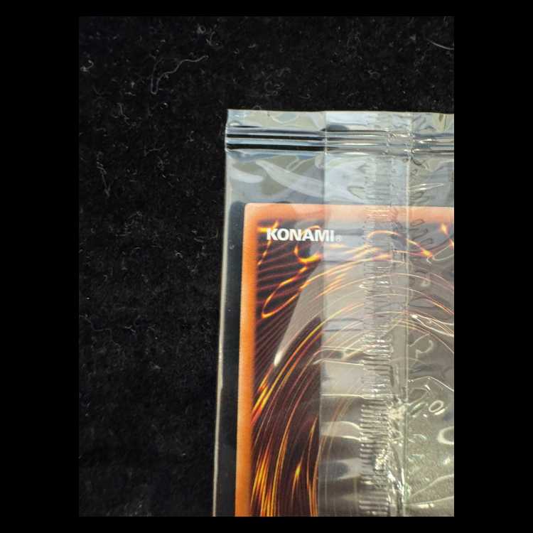 Monster Reborn Secret WCS2019 Unopened Promo 2019-JPP02 1枚