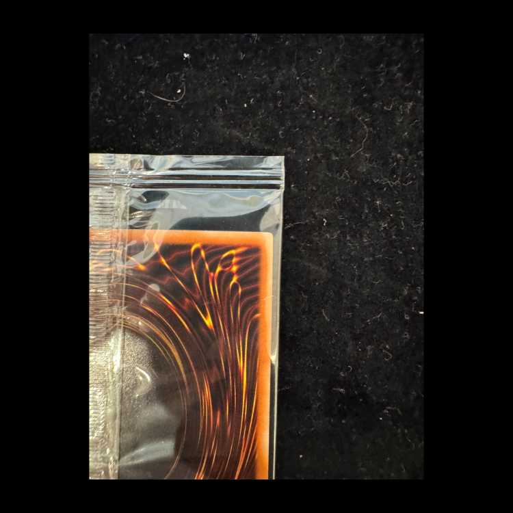 Monster Reborn Secret WCS2019 Unopened Promo 2019-JPP02 1枚