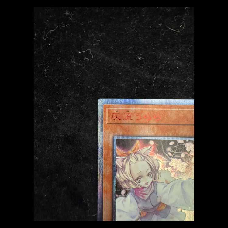 Ash Blossom & Joyous Spring 20th Secret Rare 20TH-JPC85 1枚