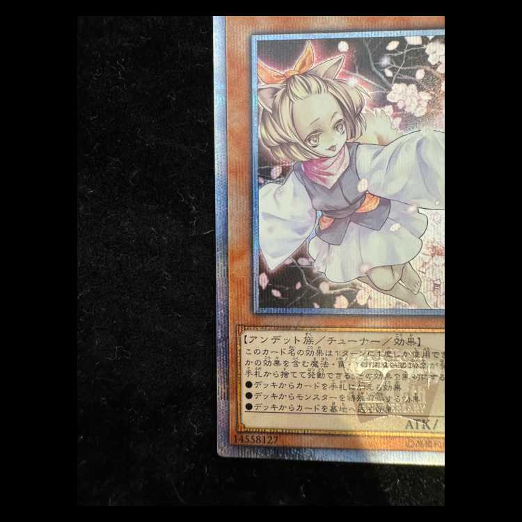 Ash Blossom & Joyous Spring 20th Secret Rare 20TH-JPC85 1枚