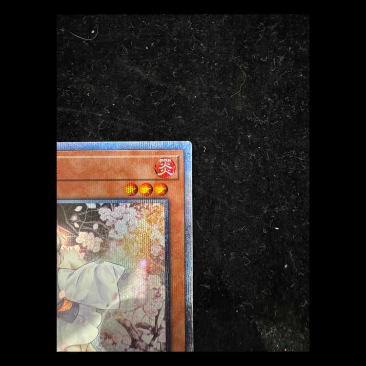 Ash Blossom & Joyous Spring 20th Secret Rare 20TH-JPC85 1枚