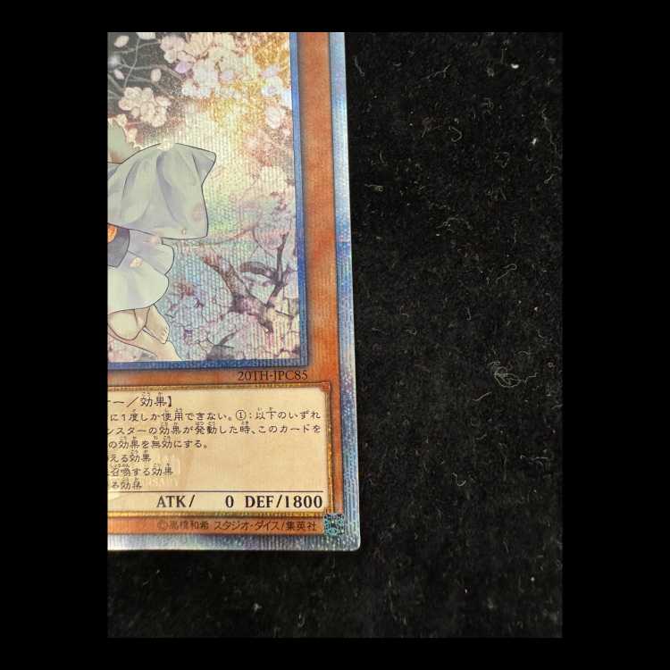 Ash Blossom & Joyous Spring 20th Secret Rare 20TH-JPC85 1枚