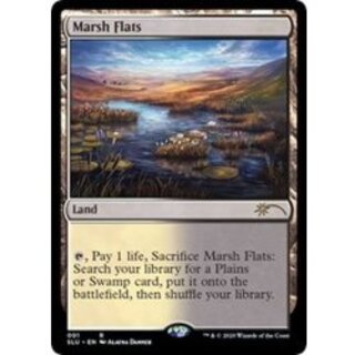 湿地の干潟/Marsh Flats《英語》【SLU】 1