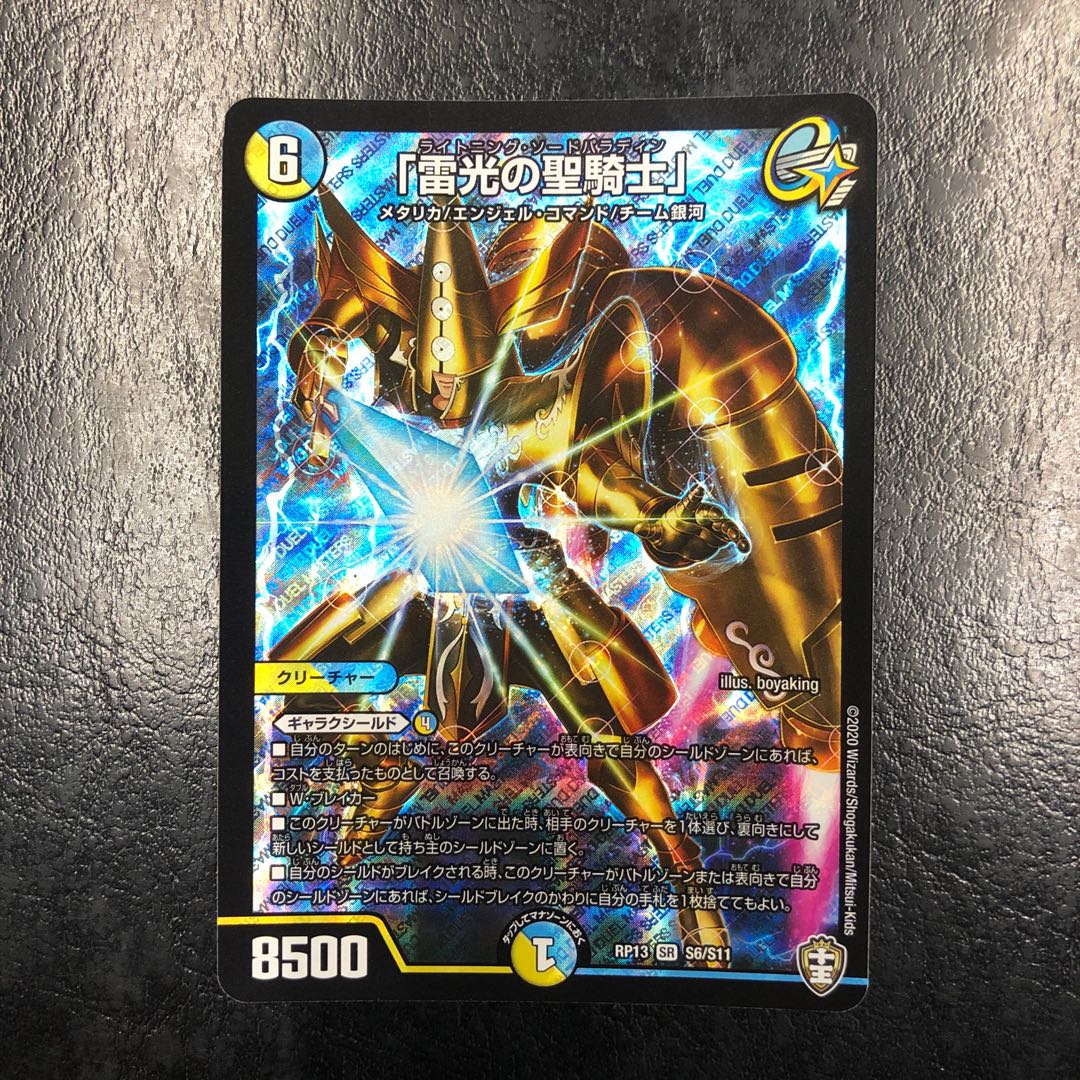 「雷光の聖騎士」