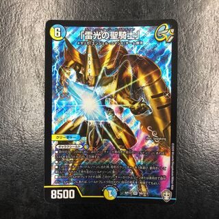 「雷光の聖騎士」