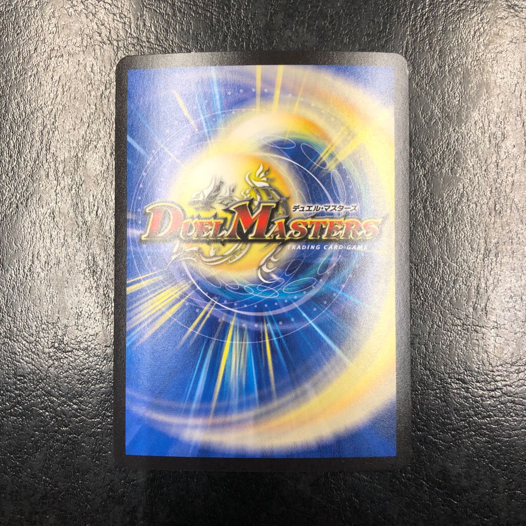 「雷光の聖騎士」