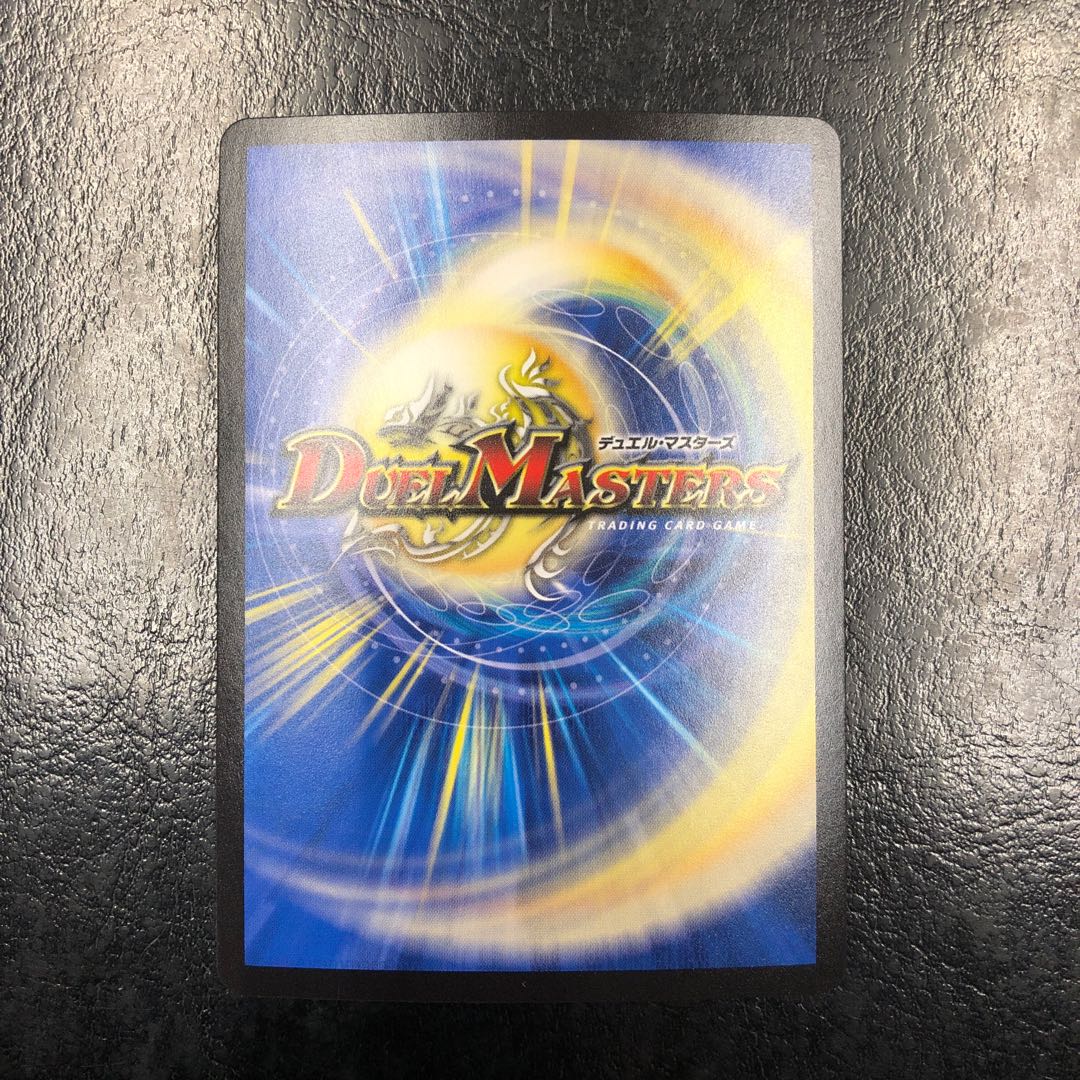 「絶対の楯騎士」