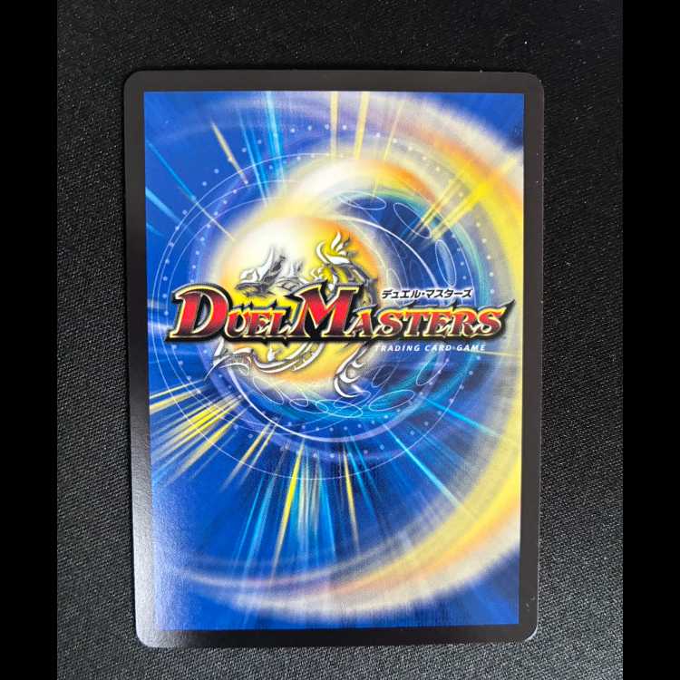 ###3 The True Name: Tiger Legend (Silver Treasure) VR TR9/TR10 1枚