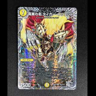 #8 The True Name: Tiger Legend (Silver Treasure) VR TR9/TR10  1枚
