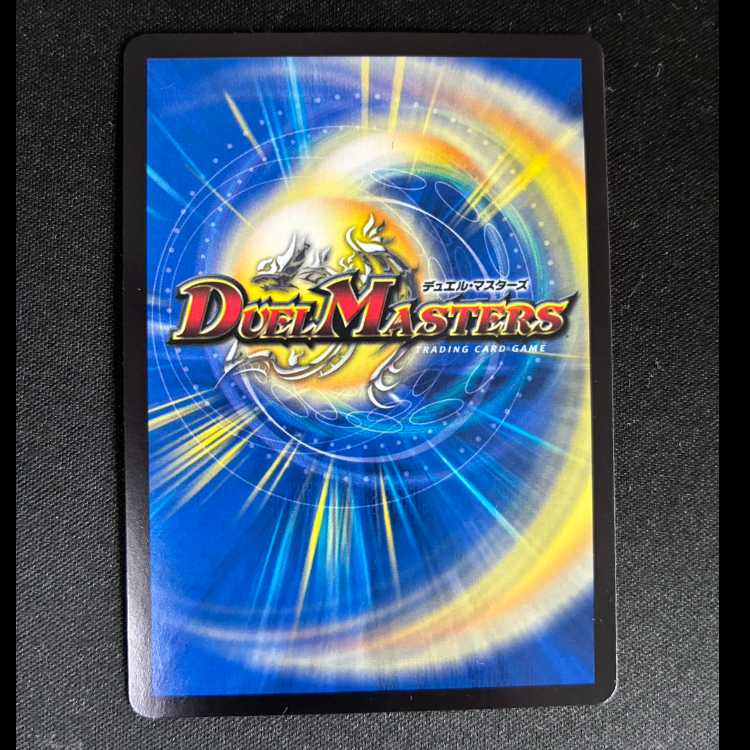#8 The True Name: Tiger Legend (Silver Treasure) VR TR9/TR10  1枚