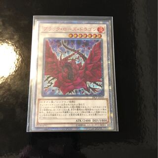 ブラック・ローズ・ドラゴン　20th