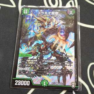 【最安値】ブラキオ龍樹