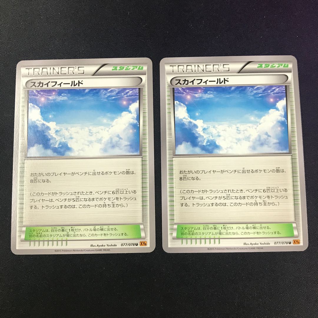 スカイフィールド 2枚