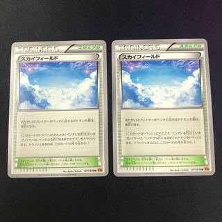 スカイフィールド 2枚