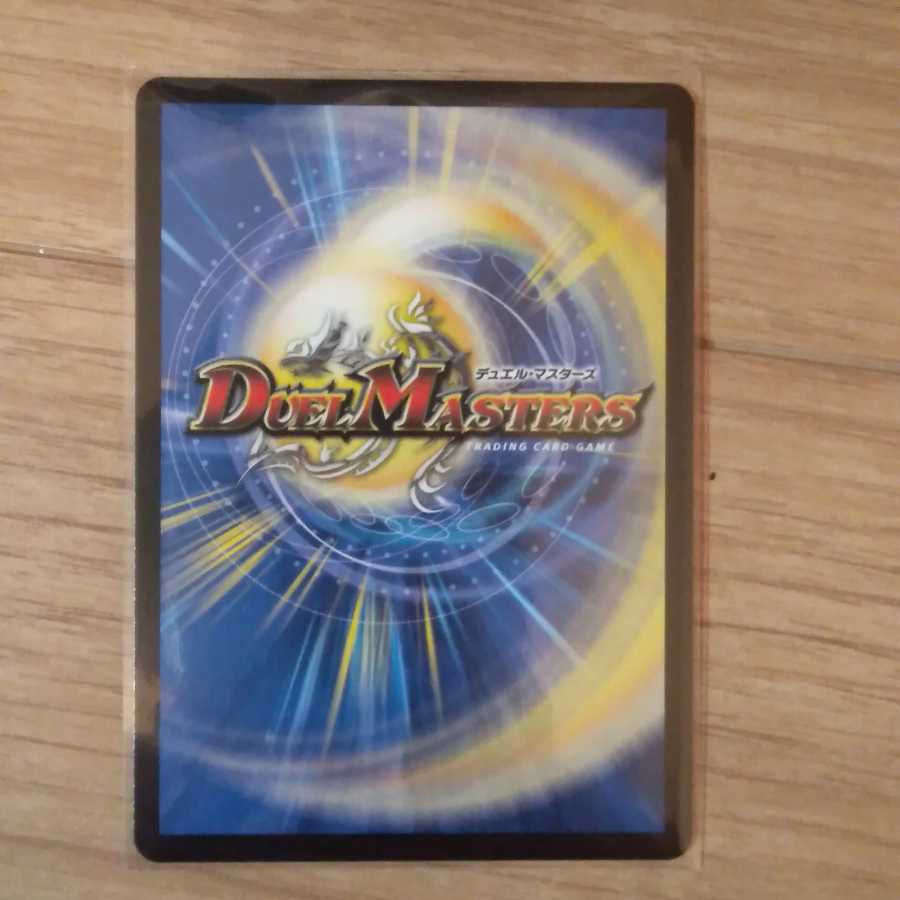 【最安値】「絶対の楯騎士」