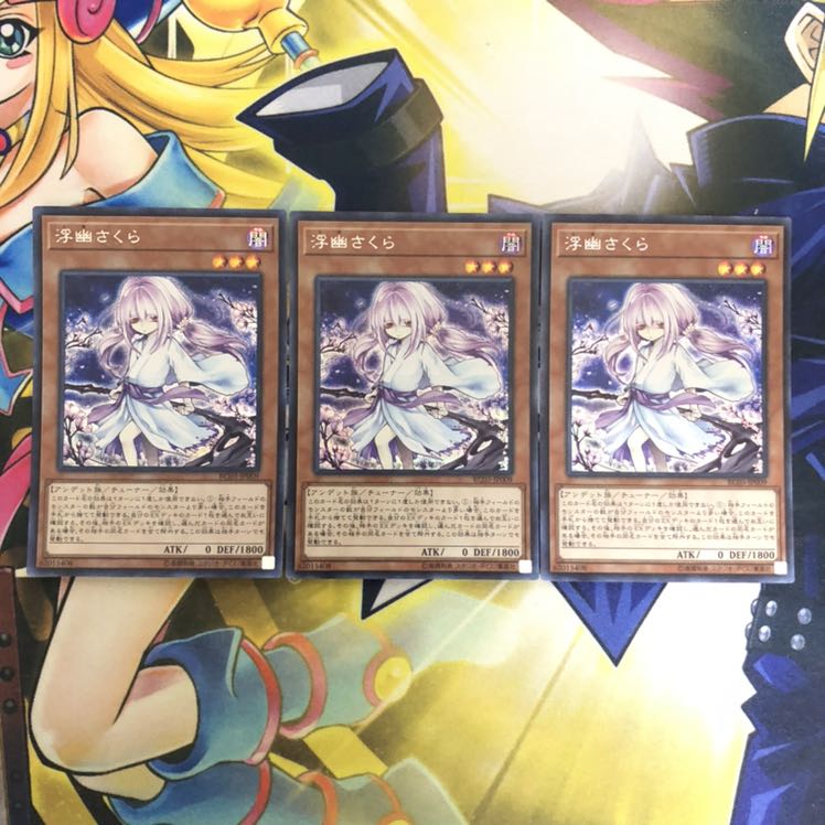 浮幽さくら(海外版イラスト) SE 3枚