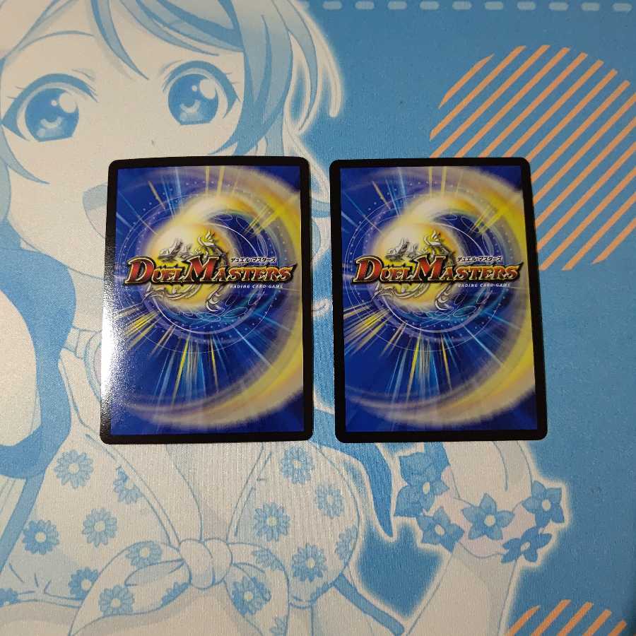 雷龍 ヴァリヴァリウス