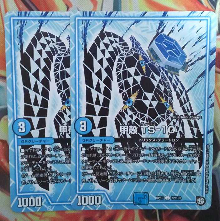 甲殻 TS-10 二枚セット