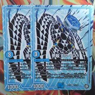 甲殻 TS-10 二枚セット