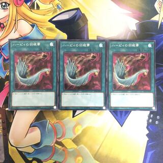 ハーピィの羽根帚 SE 3枚