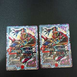 アカカゲ・レッドシャドウ