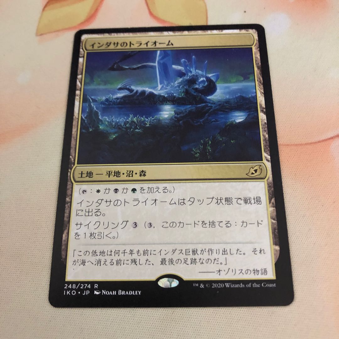 インダサのトライオーム