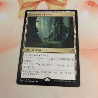 ゼイゴスのトライオーム