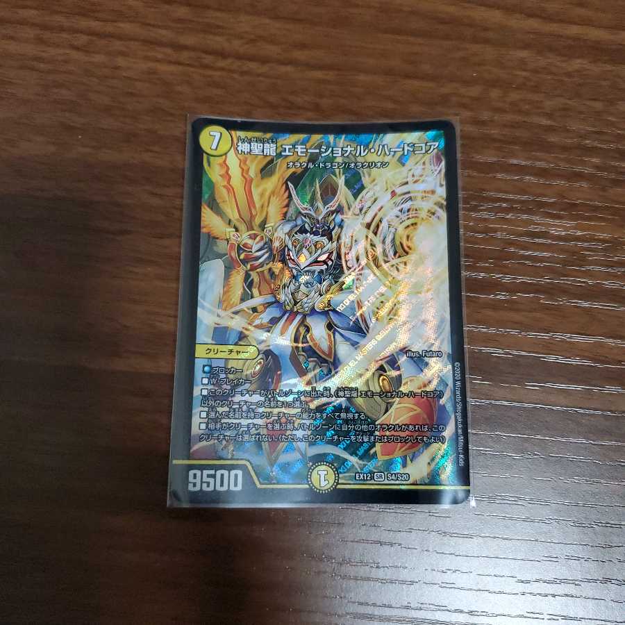 神聖龍 エモーショナル・ハードコア