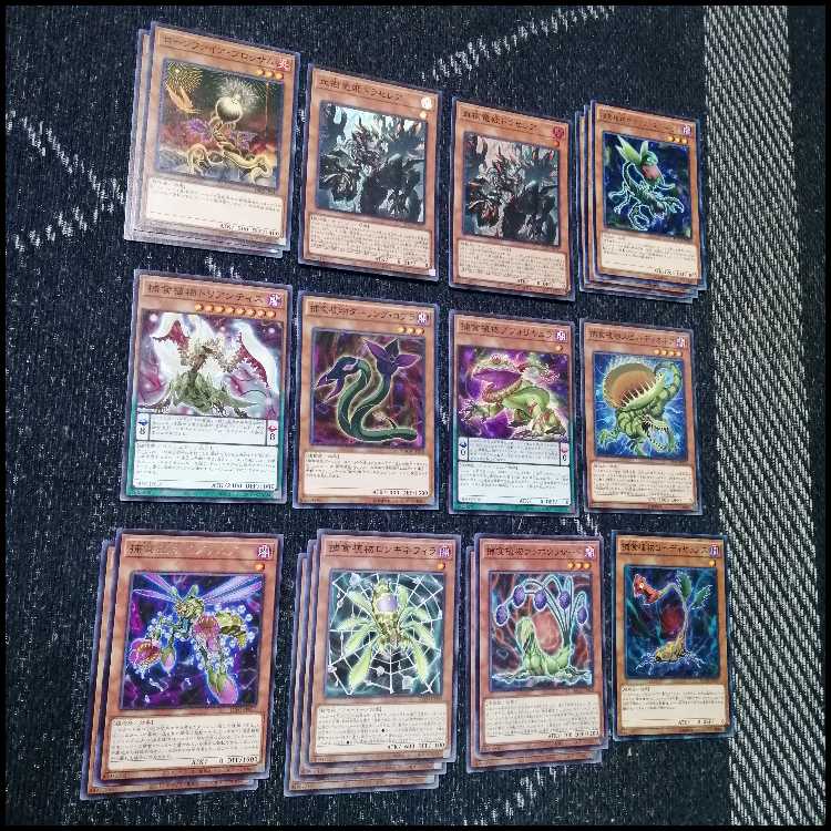 Yu-Gi-Oh! Deck: Prey Upon Plants - Predator Plants - Deadevil [05174] 1枚