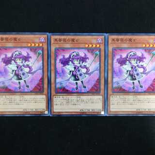 黒薔薇の魔女 N