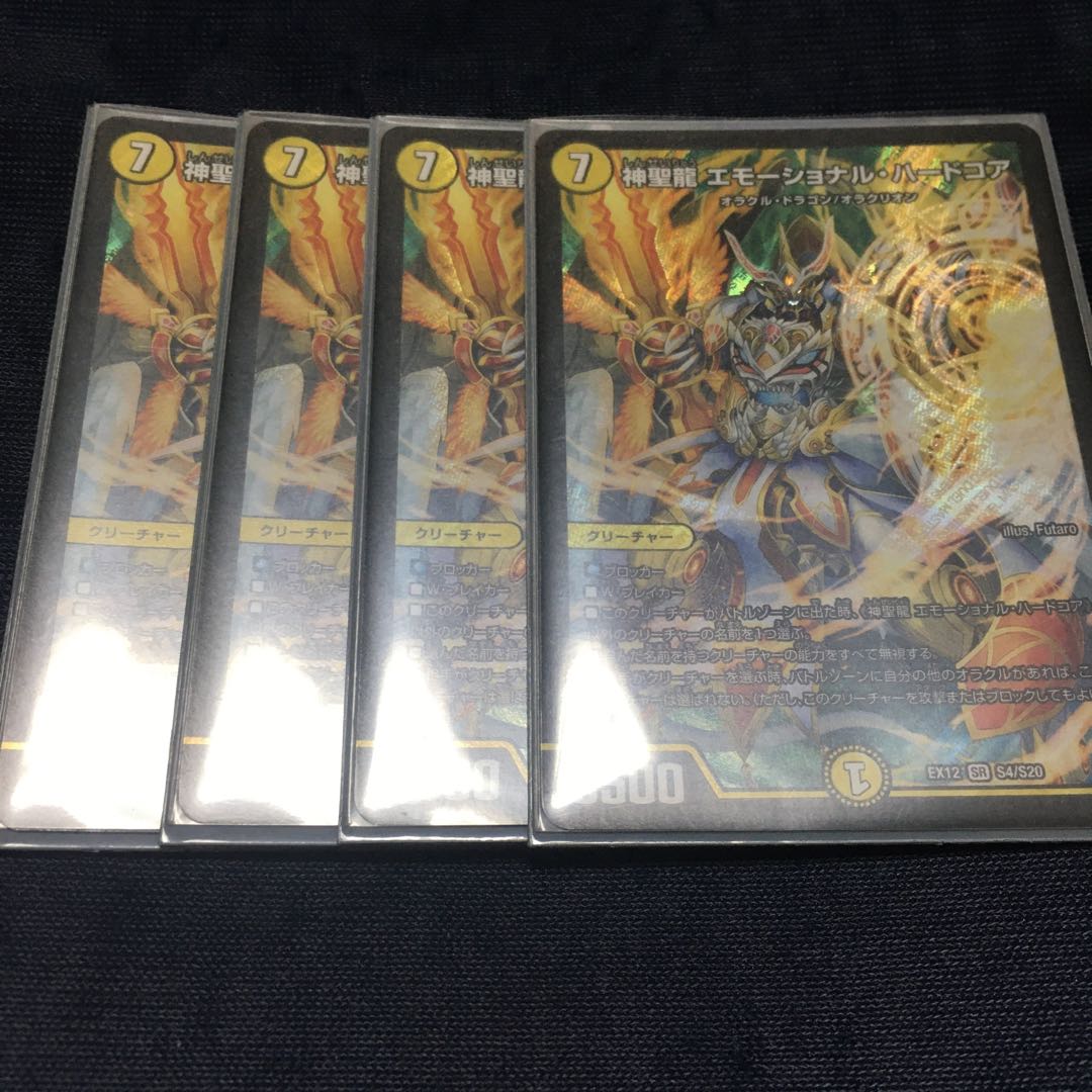 神聖龍 エモーショナル・ハードコア