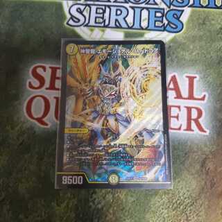 神聖龍 エモーショナル・ハードコア SR