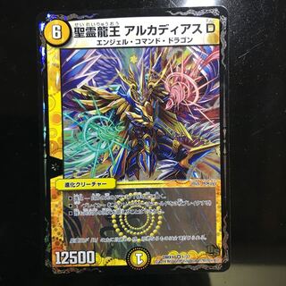 聖霊龍王 アルカディアスD
